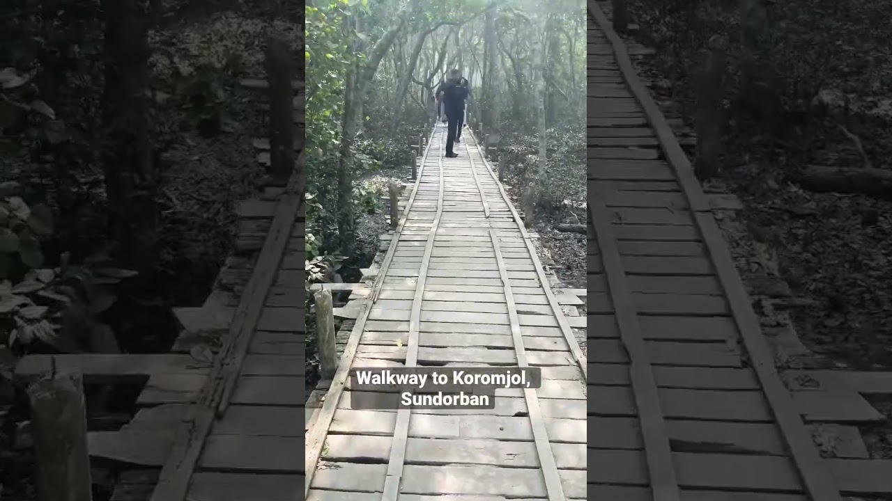 #shorts #walkway to #koromjol #sundarban #khulna #myshorts #short