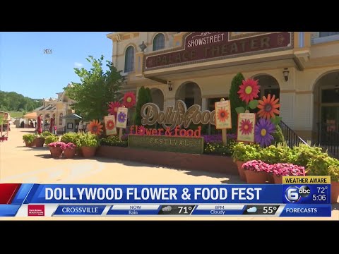 Dollywood Flower &