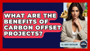 What Are The Benefits Of Carbon Offset Projects? - All About Capitalism