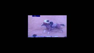 Barrel Racing | #shorts #horse #cowboys #barrelhorse #barrelracer #barrelracing #fypviral #nfr
