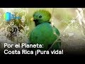 Costa Rica, país con mayor biodiversidad por kilómetro cuadrado del mundo - Despierta con Loret