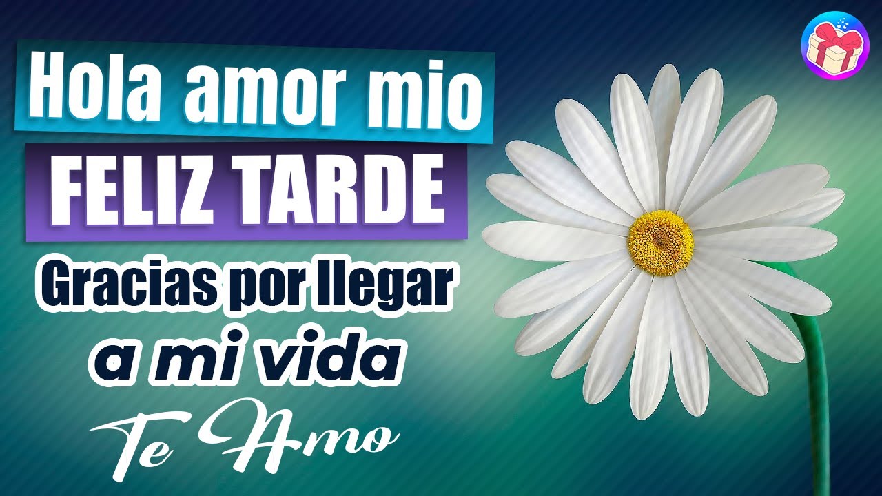 Hola Amor Mio Feliz Tarde Te Amo Muchisimo Good Morning Love Morning Love Love