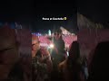 Pawsa at Coachella 🔥