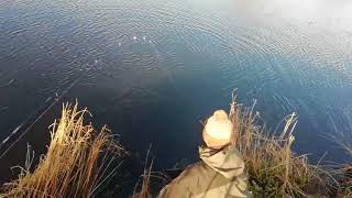 River Finn Spring Salmon 2018