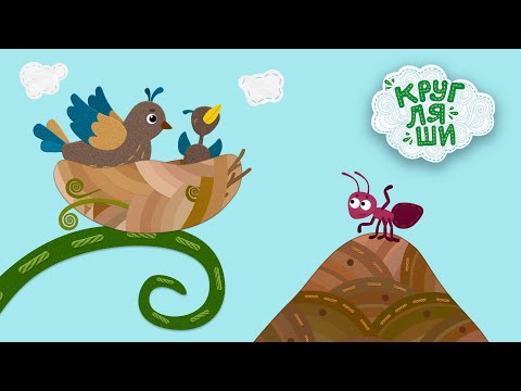 Мультфильмы про животных 🐶 Где живут звери? 🐸 Кругляши 👶