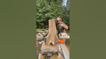 STUNNING Colors in these Black Walnut Slabs! Sliced w/a Logosol F2+ Chainsaw Mill!