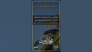 ياأيها الذين آمنوا اذكروا نعمة الله عليكم إذ هم قوم أن يبسطوا | الآية 11 من سورة المائدة