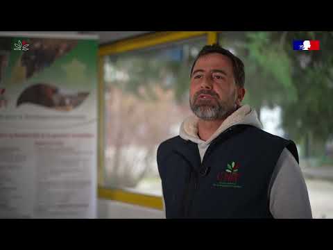 ผลสลากกินแบ่งรัฐบาล วันที่ 1 พย. 2567