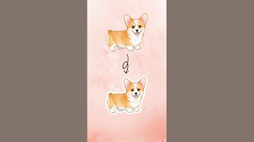 Canva Hack: Outline Stickers Like a Pro! ✨ Quick Preview (Full Tutorial Linked Below) White Outline