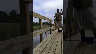 core creek fishing #fishing #fishing #panfriedfish #bigfishcaught