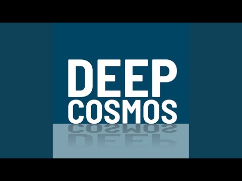Смотреть «Real Reverse» на YouTube