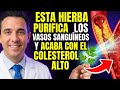 LAS 4 HIERBAS SAGRADAS MÁS POTENTES QUE DEBERÍAS USAR PARA BAJAR EL COLESTEROL