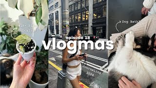 VLOGMAS DAY 18: Unboxing a $2K Rare Plant, Dog Baths, + Journaling 2024 Goals by Angelica Pham 735 views 5 months ago 13 minutes, 6 seconds