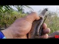 #mancing #casting #haruan di #spot sederhana di #sarang kocolan #strike 7 poin.
