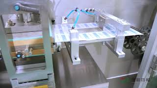Hualian Tropical Blister Packing Machine And Cartoning Machine Line 300 Blisters Per Min