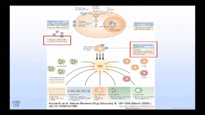 Mayo Clinic Ophthalmology Retina Update and Case Conference: Uveitis Treatment - Dr. Smith