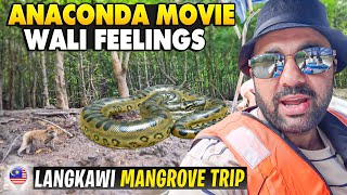 Mangrove Tour Langkawi | Complete Tour and Cost Breakdown