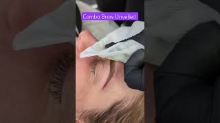 PMU Combination Eyebrow- Brow Reveal