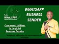Boostez votre marketing whatsapp avec business sender  guide complet dutilisation du logiciel 