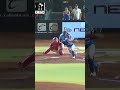 🐂🏆 ¡TIJUANA ES CAMPEÓN DE LA SERIE DEL REY!
