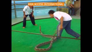 PATTAYA SNAKE FARM SHOW