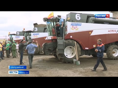 Vídeo: Com Tractar La Sèmola En Peixos