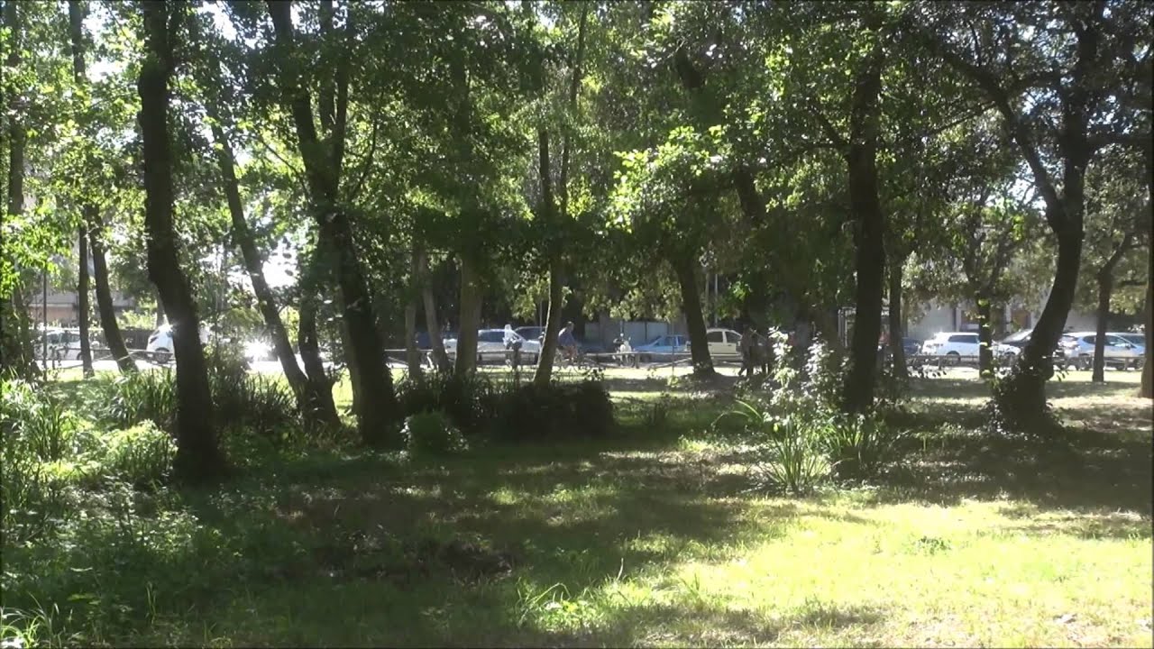 Италия Виареджио 2014г - YouTube