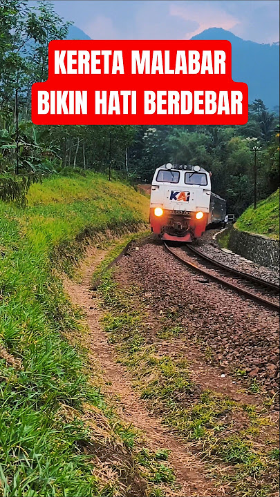 EXCUSE ME MALABAR WILL BE PASSING #shortsfeed #train #shortvideo #malabar #train #railway #shorts...