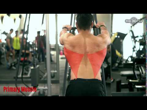 Lats::Straight Arm Pull down
