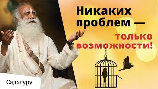 У вас нет никаких проблем — только возможности!