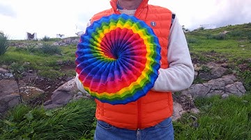 Torus Donut - Multi Colur