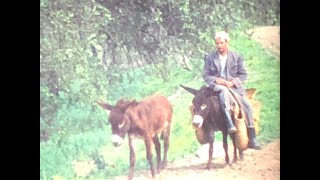 Morocco Super 8 Color Cine Film - 1982