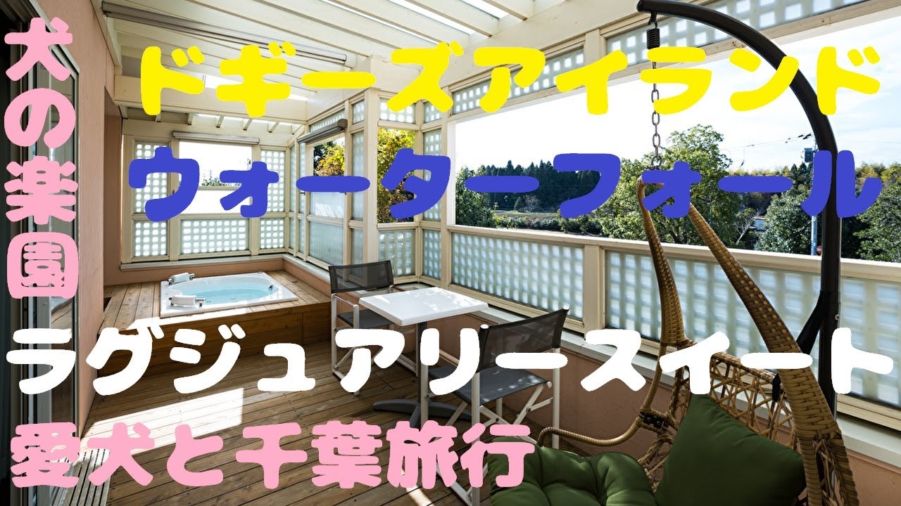 犬【千葉旅行】ドギーズアイランドウォーターフォール スイートルーム【旅犬うに#13】2022