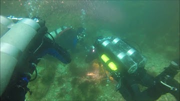Project Baseline - A Typical Dive at Laguna