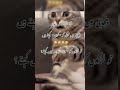 like and subscribe 😊🤗 #funny #eman #mama #cutebaby