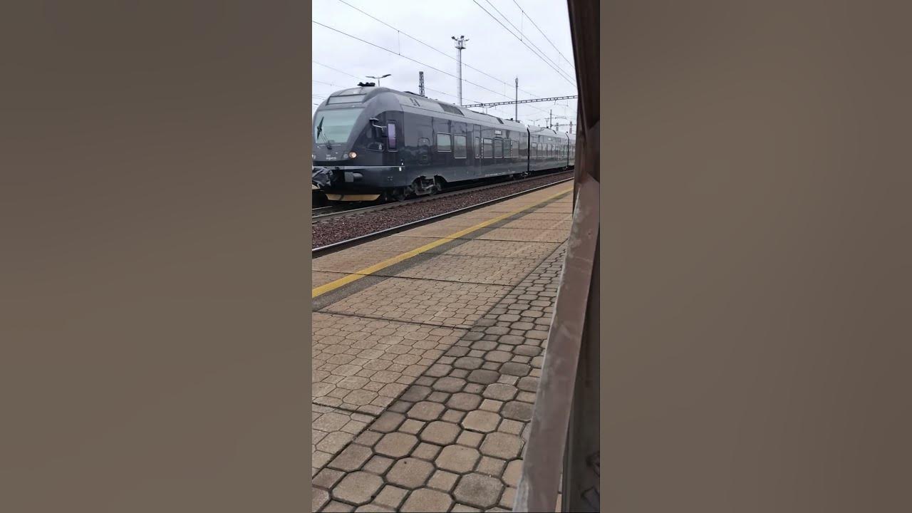 flirt czech