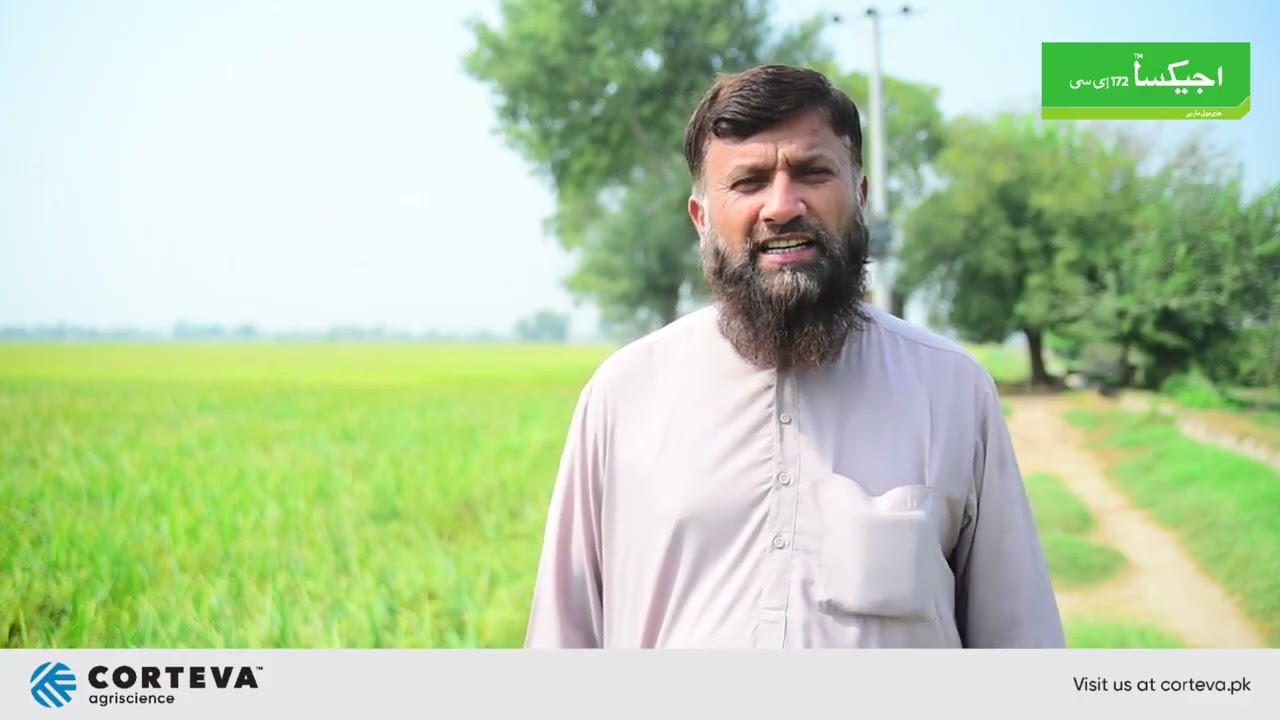 Muhammad Tahir | Multan | Agixa Customer Feedback