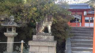 Komainu-oj gardas la sanktejon.