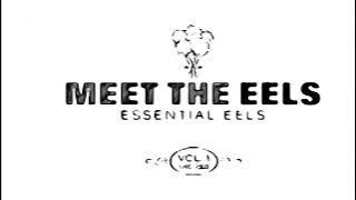 Eel’s; I Need Some Sleep (432 HZ)