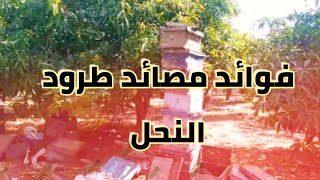 فوائد مصائد طرود النحل - محمد كامل سعد