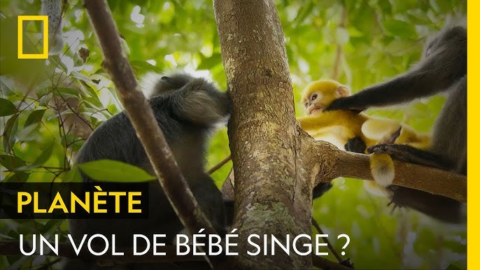 Erkak uni sikganida qiz baqirib yubordi eski oriq porno