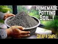 How to make the best potting soil recipe for your plants at home easy  effective