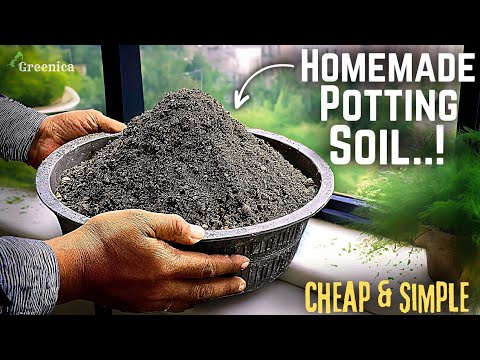 How to Make The BEST Potting Soil Recipe For Your Plants At Home? (EASY ...