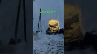 Igloo RSO VIDEO COMING SOON HOTBOX