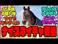 寄付『ナイスネイチャの葬儀が執り行われたことが報告される』に対するみんなの反応集 まとめ ウマ娘プリティーダービー レイミン 誕生日