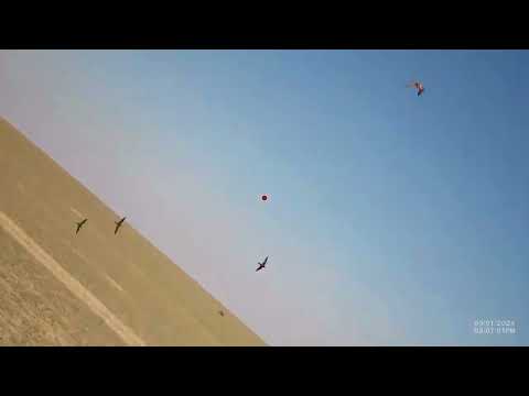 رمي دحروج ٢ شوت كام