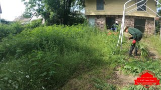 This Driveway Was BURIED Under YEARS Of Overgrown Grass (big transformation)