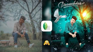 Snapseed Green And Bird Effect Photo Editing Tutorial | Snapseed Background Colour Change Tricks