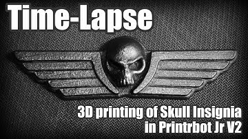 Time-Lapse 3D printing of Skull Insignia in Printrbot Jr V2