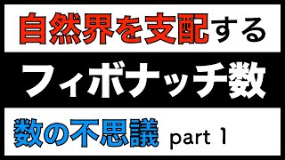 【数の不思議】フィボナッチ数 〜 自然界に潜む法則 〜 #1